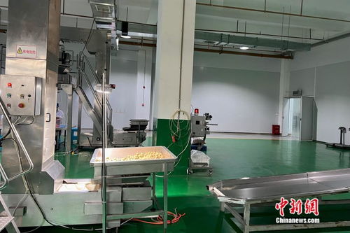 萬(wàn)千氣象看云南丨從一顆核桃開始，在西南邊陲探索“一縣一業(yè)”熱能產(chǎn)品研發(fā)