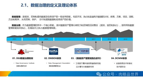 XX集團(tuán)數(shù)據(jù)治理體系建設(shè)方案 數(shù)據(jù)處理服務(wù)專項規(guī)劃